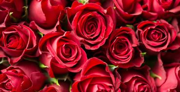 Castle Hotel Macroom | Cork | Sip Savour & Celebrate LOVE this Valentine's | 1